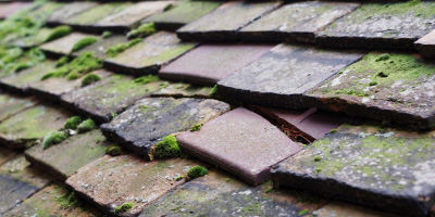 Llanfihangel Ystrad roof repair costs